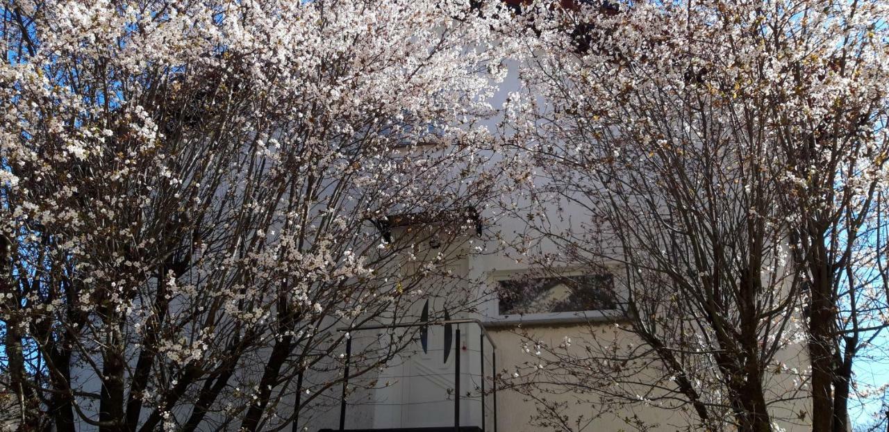 Apple Tree Leilighet Zagreb Eksteriør bilde