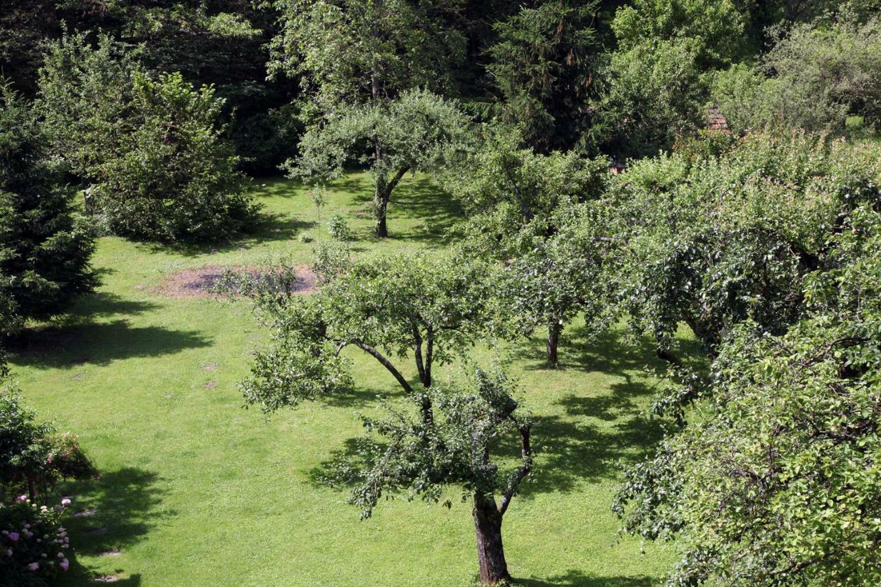 Apple Tree Leilighet Zagreb Eksteriør bilde